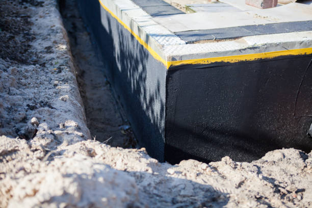 Professional Wet Basement Repair technician working in Mount Carmel, TN