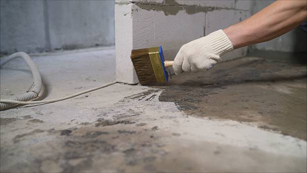24/7 Emergency Wet Basement Repair experts in Mount Carmel, TN